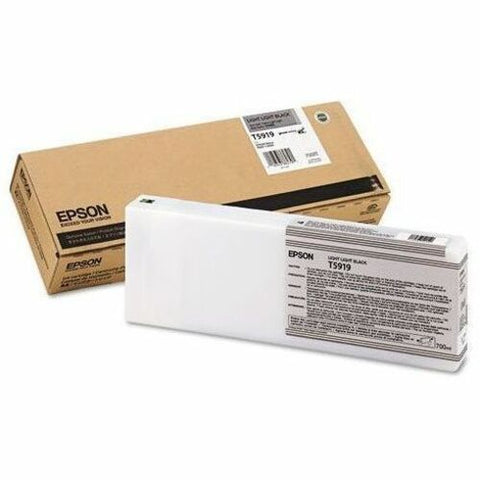 Epson Light Light Black Ink Cartridge T591900