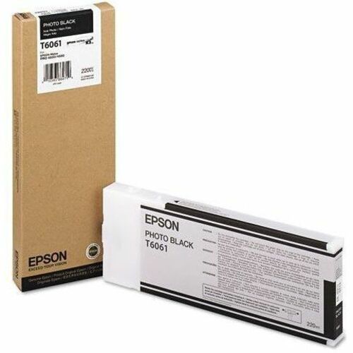 Epson Photo Black Ink Cartridge T606100
