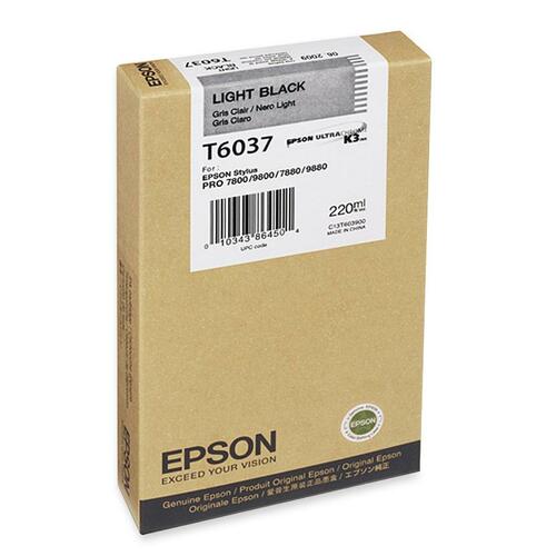 Epson Light Black Ink Cartridge T603700