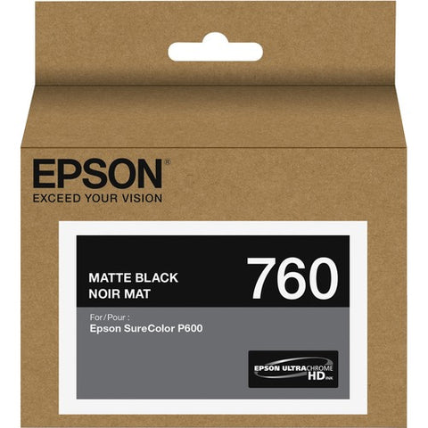 Epson 760 Ink Cartridge T760820