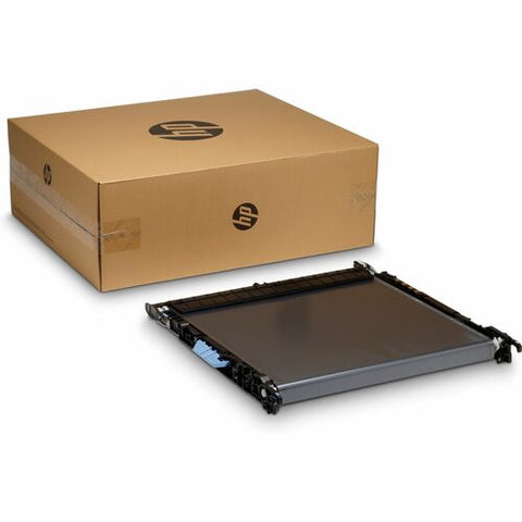HP Transfer Belt 527G8A