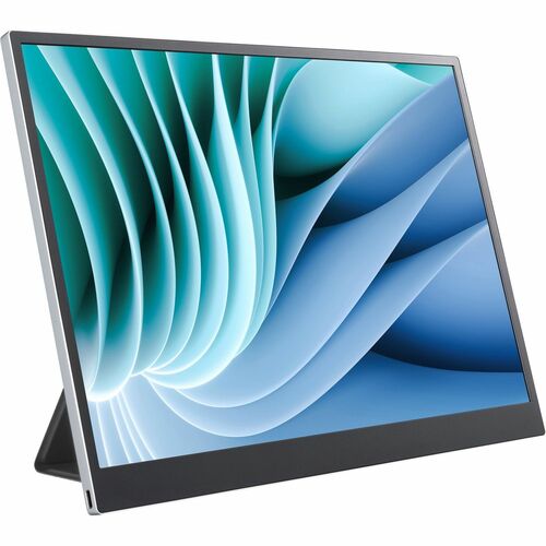 LG gram +view 16 Inch WQXGA (2560x1600) Portable Monitor with USB Type C 16MR70.ASDA8